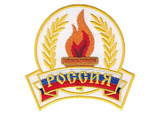 Аппликация  16421182