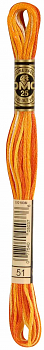 Мулине DMC №0051
